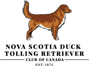 Nova Scotia Duck Tolling Retriever Club of Canada (NSDTRCC)